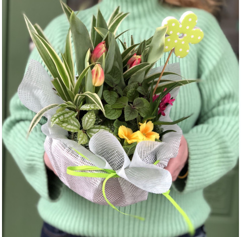 Flower arrangement Green garden 1 Flower delivery