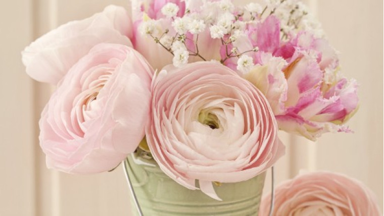 Pink flowers, what does this color mean?