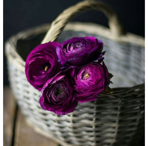 Ranunculus mix 6 Flower delivery