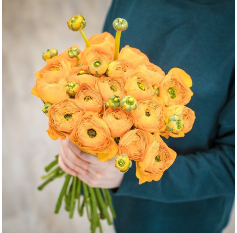 Ranunculus mix 1 Flower delivery