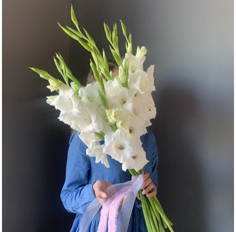 Гладиолус доставка цветов Гладиолус 5 доставка цветов