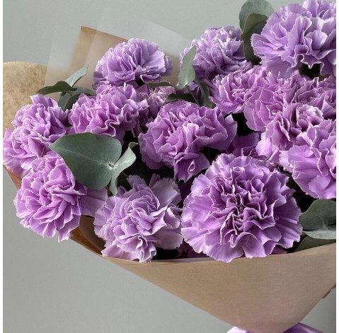 Carnation Moon Aqua 1 Flower delivery