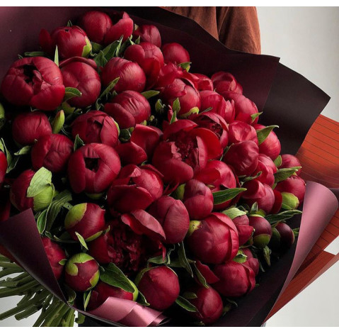 Пион Ред Чарм 2 доставка цветов