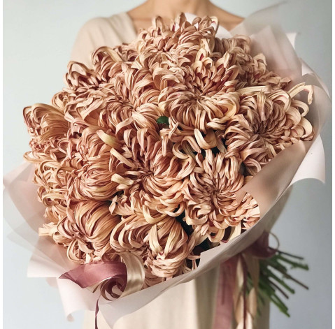 Chrysanthemum Vienne 3 Flower delivery