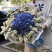 Bouquet Wind melody 2 Flower delivery foreshortening