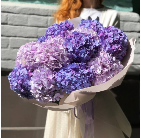 Bouquet of 13 lavender hydrangeas 2 Flower delivery