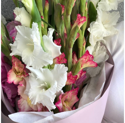 Букет 25 гладіолусів мікс 3 доставка квітів