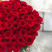 Bouquet of 71 red roses Red Eagle 4 Flower delivery foreshortening