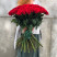 Bouquet of 71 red roses Red Eagle 2 Flower delivery foreshortening