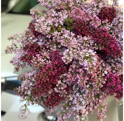 Букет 35 гілочок бузку 3 доставка квітів