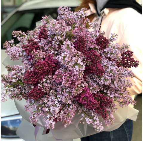 Букет 35 гілочок бузку 2 доставка квітів