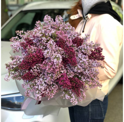 Bouquet of 35 lilac branches 1 Flower delivery