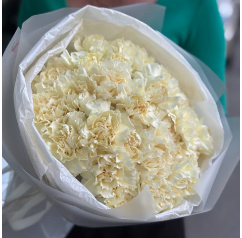 Bouquet of 23 dianthus 5 Flower delivery