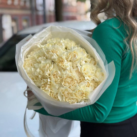 Bouquet of 23 dianthus Flower delivery