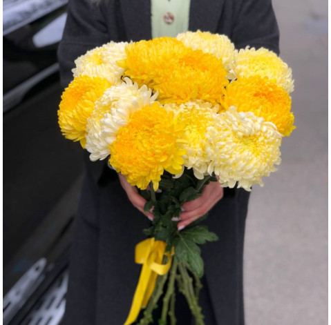 Bouquet 11 chrysanthemums mix 2 Flower delivery