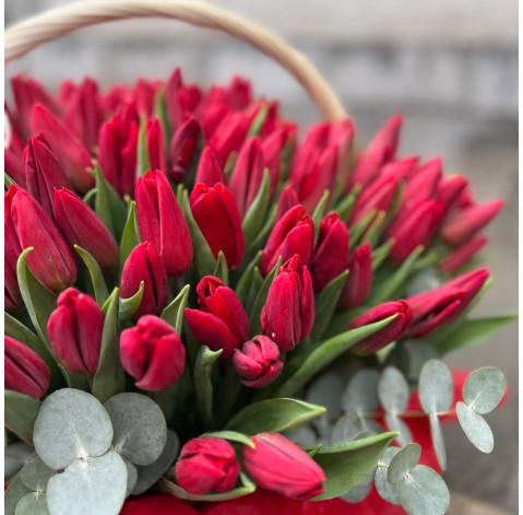 Квіткова композиція 151 червоний тюльпан 4 доставка квітів