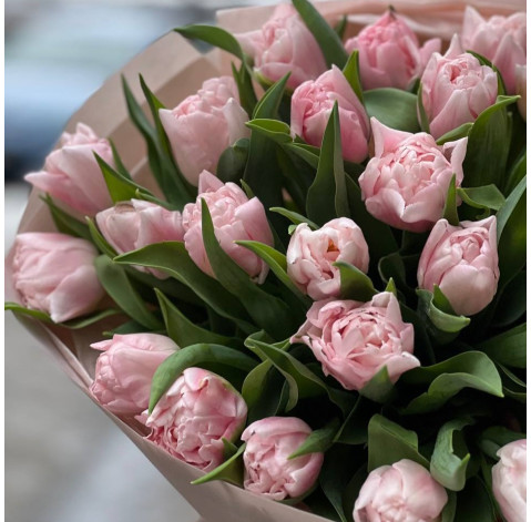 Букет із 25 рожевих тюльпанів 3 доставка квітів