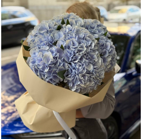 Bouquet of 7 blue hydrangeas 1 Flower delivery