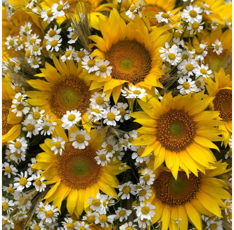 Flower arrangement Golden sun 6 Flower delivery