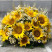 Flower arrangement Golden sun 4 Flower delivery foreshortening