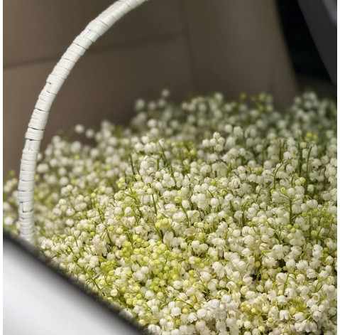 Basket of lilies of the valley 7 Flower delivery