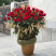 Flower arrangement Red gold Flower delivery foreshortening Flower arrangement Red gold 4 Flower delivery foreshortening