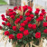 Flower arrangement Red gold Flower delivery foreshortening Flower arrangement Red gold 2 Flower delivery foreshortening