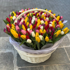 Корзина 201 тюльпан доставка цветов
