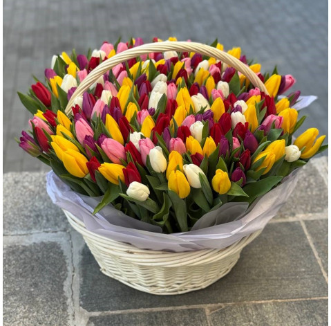 Кошик 201 тюльпан 1 доставка квітів