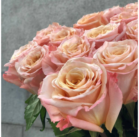 Bouquet of 19 roses Shimmer 3 Flower delivery