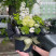 Floral arrangement with drink Stylish compliment 3 Flower delivery foreshortening