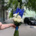 Bouquet Sapphire Shine 1 Flower delivery foreshortening