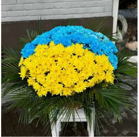Basket of chrysanthemums Patriotic 2 Flower delivery