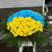 Basket of chrysanthemums Patriotic 2 Flower delivery foreshortening