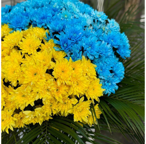 Basket of chrysanthemums Patriotic 4 Flower delivery