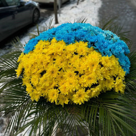 Basket of chrysanthemums Patriotic Flower delivery Basket of chrysanthemums Patriotic Flower delivery