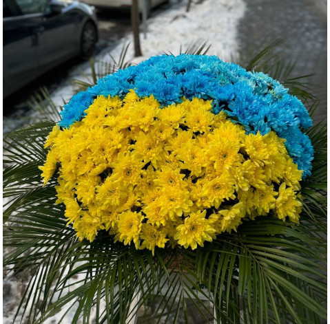 Basket of chrysanthemums Patriotic 3 Flower delivery
