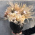 Flower arrangement Dried flowers 3 Flower delivery foreshortening