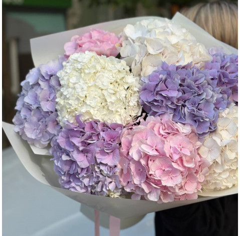 Bouquet of 9 hydrangeas 2 Flower delivery
