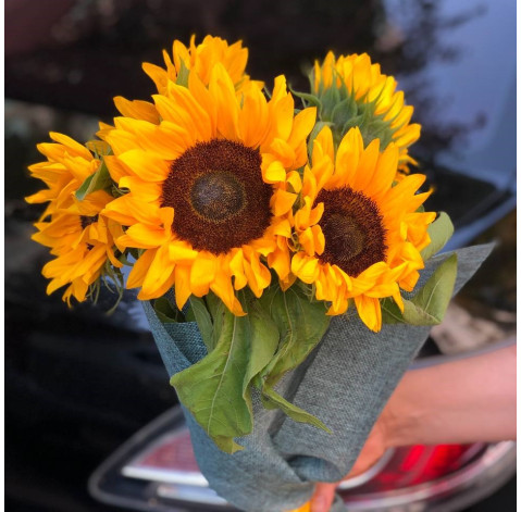 Bouquet of 5 sunflowers 3 Flower delivery