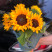 Bouquet of 5 sunflowers 3 Flower delivery foreshortening