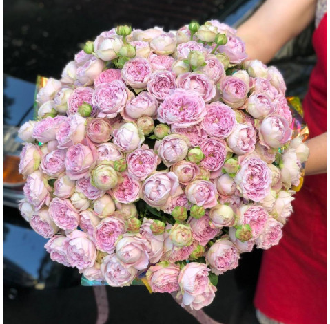 Букет 41 троянда Блоссом Баблз 4 доставка квітів