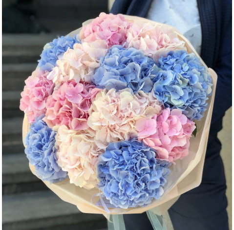 Bouquet of 13 hydrangeas mix 2 Flower delivery