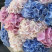 Bouquet of 13 hydrangeas mix 3 Flower delivery foreshortening