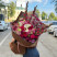 Bouquet Tropical Whimsy 2 Flower delivery foreshortening