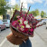 Bouquet Tropical Whimsy 3 Flower delivery foreshortening