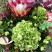 Flower arrangement Bagryanets 4 Flower delivery foreshortening