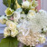 Flower arrangement Snow-White Veil 6 Flower delivery foreshortening