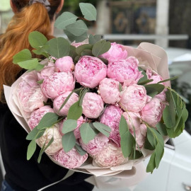 Букет 25 пионов Сара Бернар доставка цветов