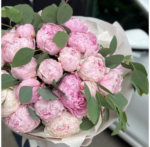 Букет 25 пионов Сара Бернар 3 доставка цветов